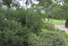 Wattle Grove WAresidential-landscaping-35.jpg; ?>