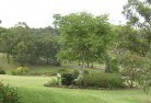 Wattle Grove WAresidential-landscaping-40.jpg; ?>
