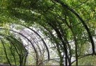 Wattle Grove WAresidential-landscaping-57.jpg; ?>