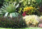 Wattle Grove WAresidential-landscaping-58.jpg; ?>